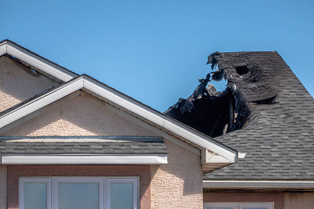Licensed Odor Removal service in Mendota, MN - Fire Damage Laser Cleaning